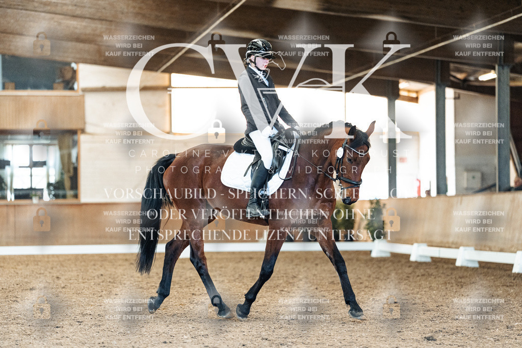 CK908665 | Turnierfotografie Pferdefotografie Trier Rheinland-Pfalz Pferdesport Reitsport Tierfotografie Sportfotografie Pferdevideo Pferdevideografie Equestrianvideography equestrianphotography  - Realisiert mit Pictrs.com