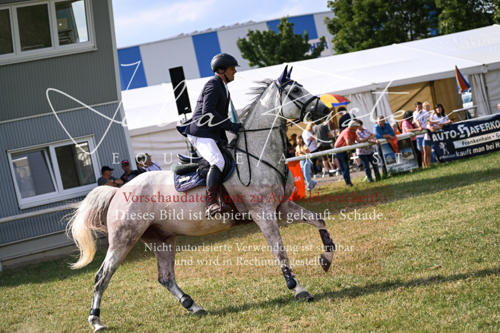 DSC_1019 | Pferde- und Turnierfotografie in Westsachsen. Pferdeportraits, Auftragszeichnungen und intuitive Kunst.