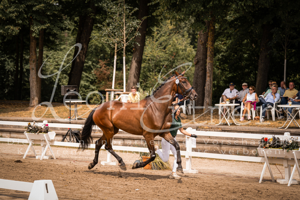 3.Fr00115 | Leoni Ertmer Photography - Realisiert mit Pictrs.com