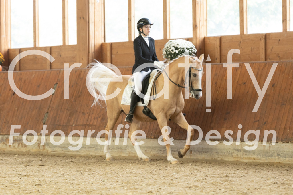 IMG_1356 | Creatify Fotografie