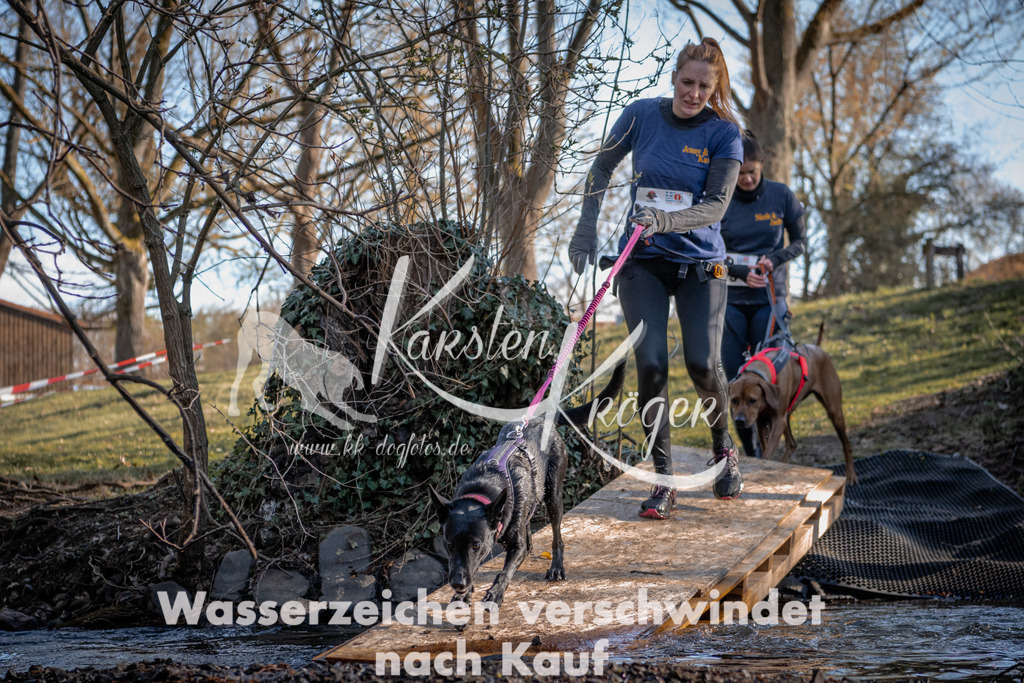 0813_ZZ90175-2 | kk-dogfotos