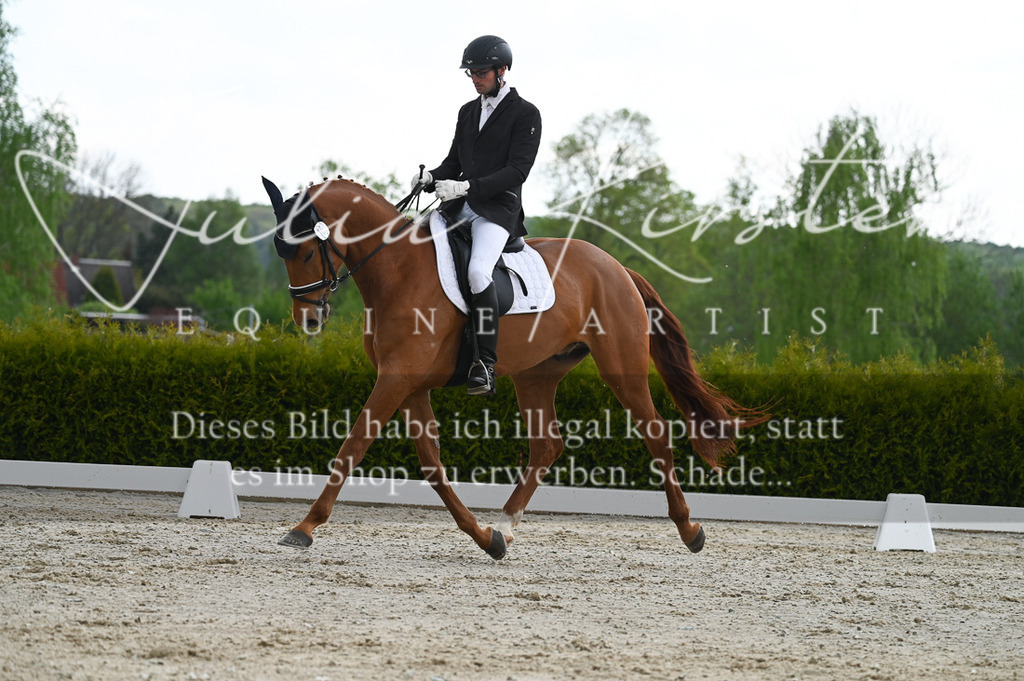 20230512_JK-Röhrsdorf-03-047 | Pferde- und Turnierfotografie in Westsachsen. Pferdeportraits, Auftragszeichnungen und intuitive Kunst.