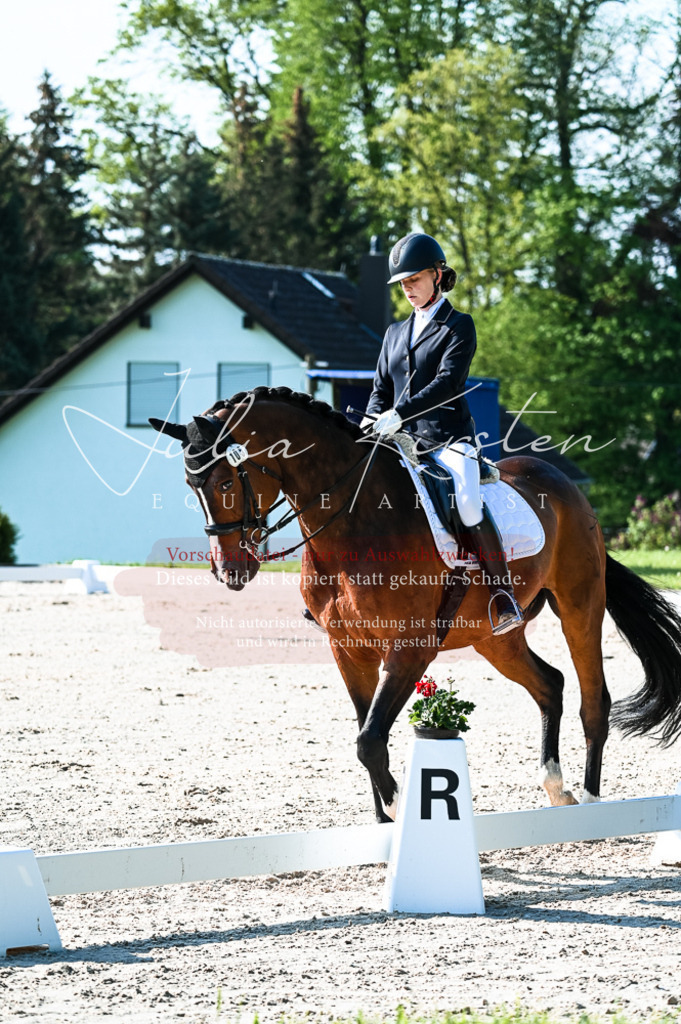 20230513_JK-Röhrsdorf-10-0038 | Pferde- und Turnierfotografie in Westsachsen. Pferdeportraits, Auftragszeichnungen und intuitive Kunst.