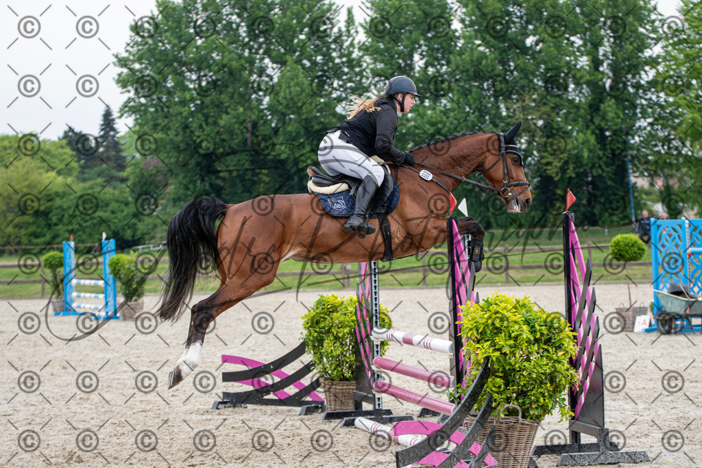 KPT_2328 | andre_photographic