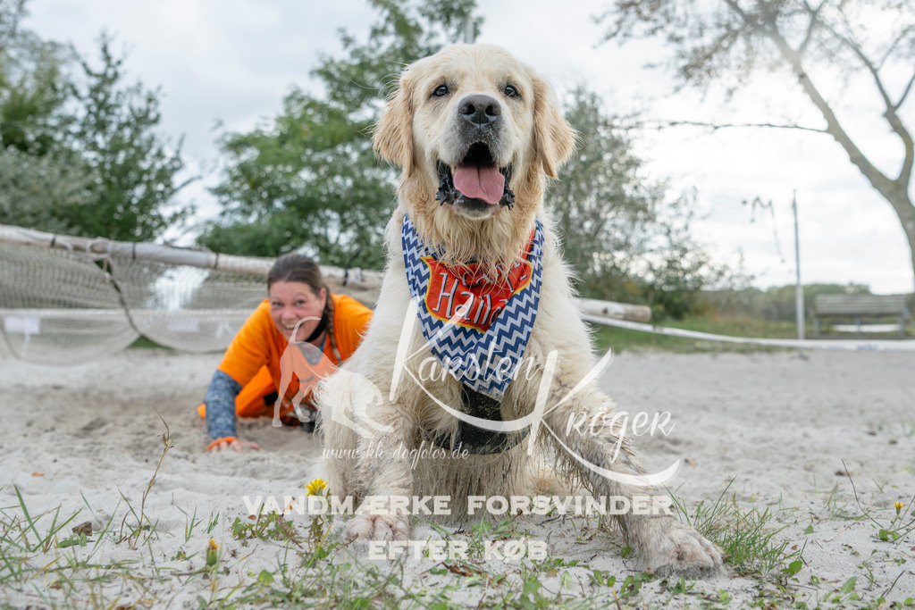 1539_ZZ96358 | kk-dogfotos