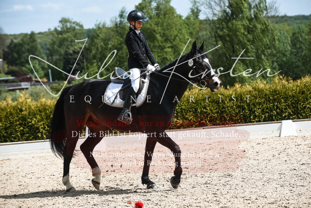 20230518_JK-Röhrsdorf-11-0680 | Pferde- und Turnierfotografie in Westsachsen. Pferdeportraits, Auftragszeichnungen und intuitive Kunst.