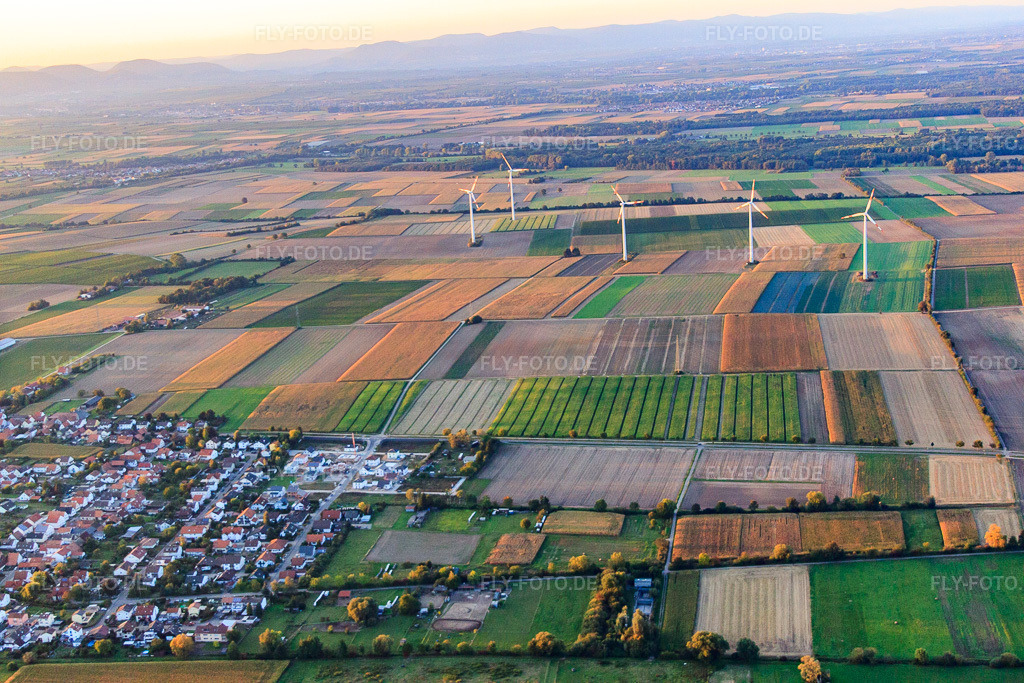 Luftbild: Windpark Minfeld von Süden in Minfeld im Bundesland Rheinland-Pfalz in Deutschland. Foto: IMG_53814.jpg vom 30.09.2012 durch Werner Riehm/FLY-FOTO.de