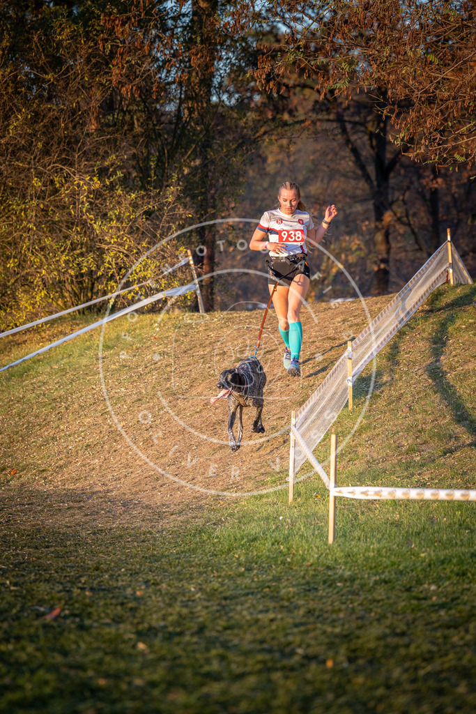CaniXpix_0L8A1816 | Hundefotografie, Tierfotograf, Pfotenfotografie, Fotoshooting Hund, Hunde Portrait, Hundesport, Hundeportraits, Heideshooting, Hunde, Sportfotograf, Hundefotograf, Turnierhundsport, THS,  - Realisiert mit Pictrs.com