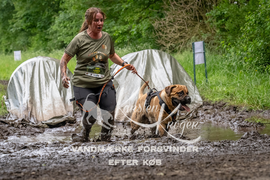 1538_ZZ94681-Bearbeitet | kk-dogfotos