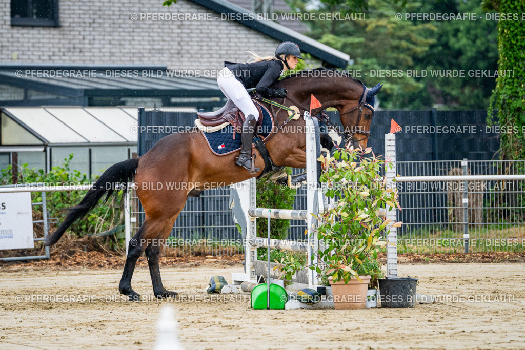 DSC02545 | Pferdegrafie