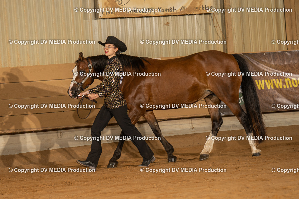 NID02375 | dv-media-shop - Realisiert mit Pictrs.com