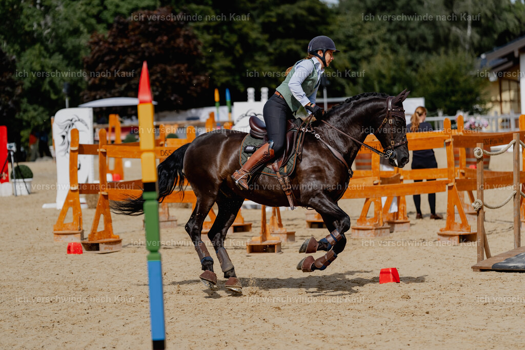 Mirjam25_FHC2025-2824 | working equitationturnier fotograf videograf stoibphotography marixx film working equitation deutschland reitsport turnierfotografie eventfotografie equestrian events