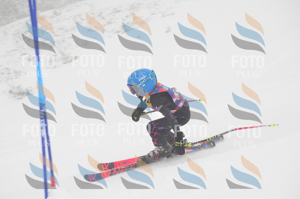 C0818 | holidayphoto