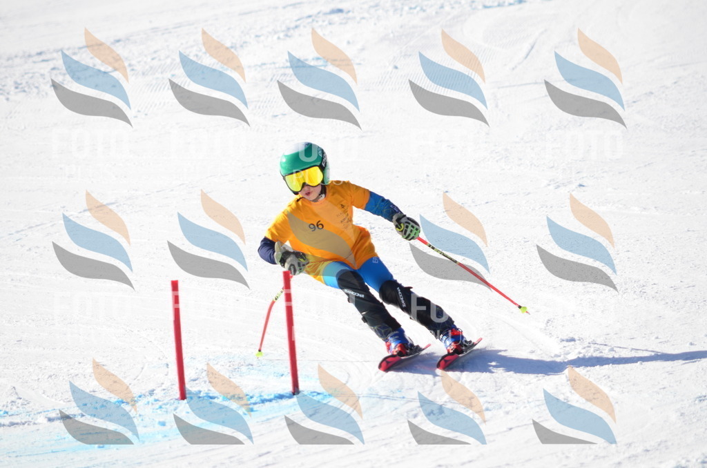 C6132 | holidayphoto