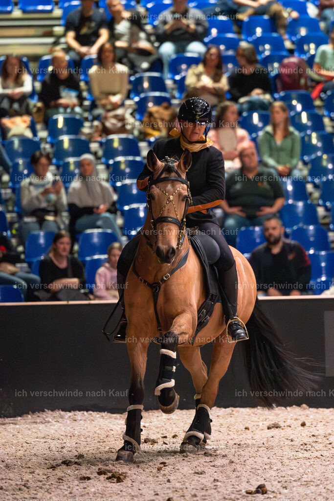 JoseraCup-129 | working equitationturnier fotograf videograf stoibphotography marixx film working equitation deutschland reitsport turnierfotografie eventfotografie equestrian events