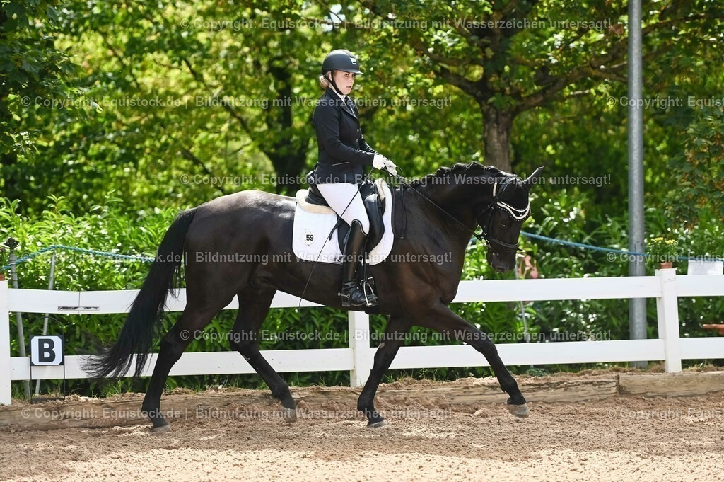 20230715_07_Dressurpferdeprfg. Kl.L_0145 | equistock
