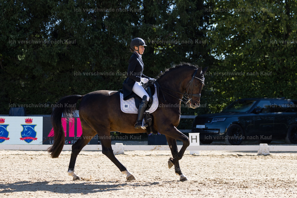 FHC2026_P07_88_17640 | working equitationturnier fotograf videograf stoibphotography marixx film working equitation deutschland reitsport turnierfotografie eventfotografie equestrian events