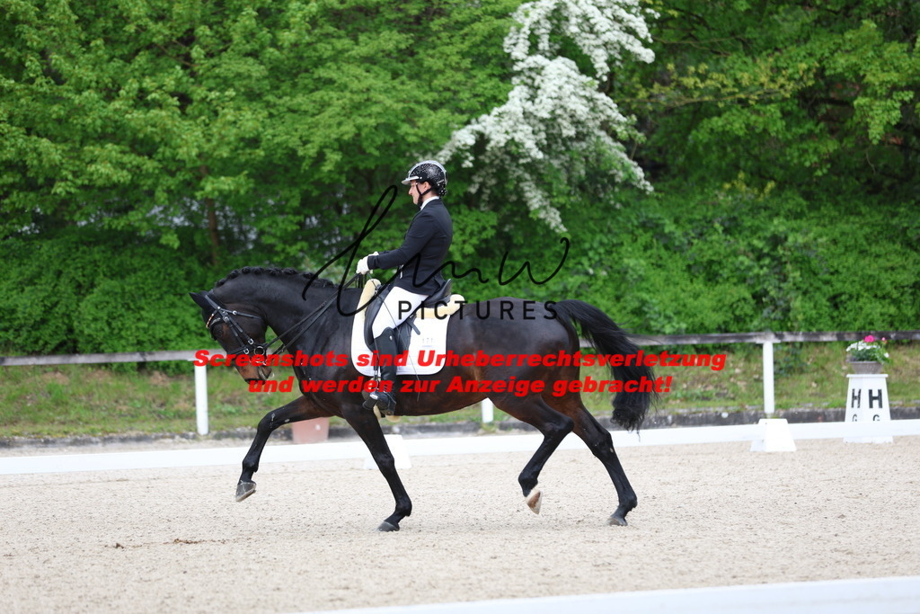 A40A4282 | lmwpictures - Realisiert mit Pictrs.com