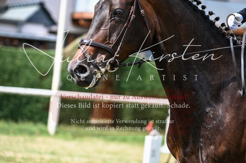 DSC_8323 | Pferde- und Turnierfotografie in Westsachsen. Pferdeportraits, Auftragszeichnungen und intuitive Kunst.