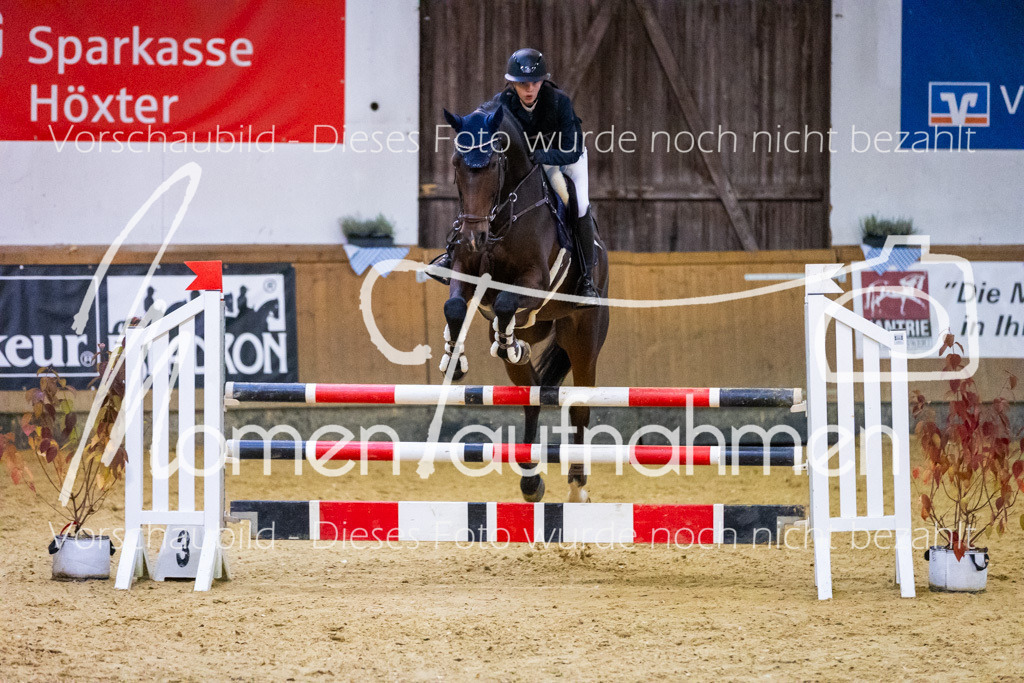 Sth-L-Springen-067 | MomenTaufnahmen Pferdesportfotos