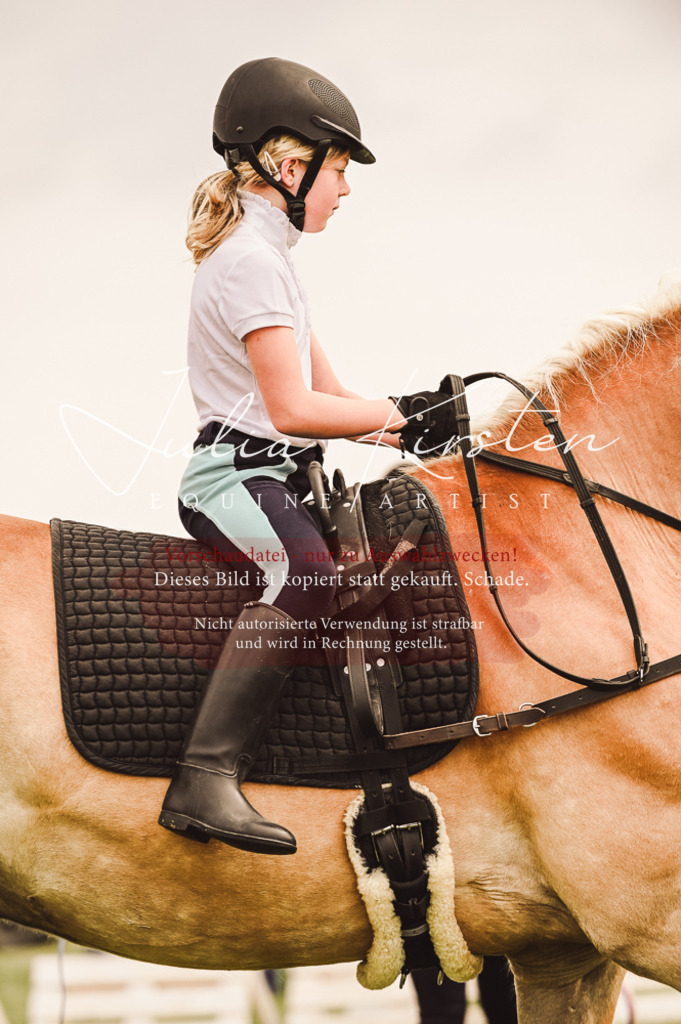 DSC_5226 | Pferde- und Turnierfotografie in Westsachsen. Pferdeportraits, Auftragszeichnungen und intuitive Kunst.