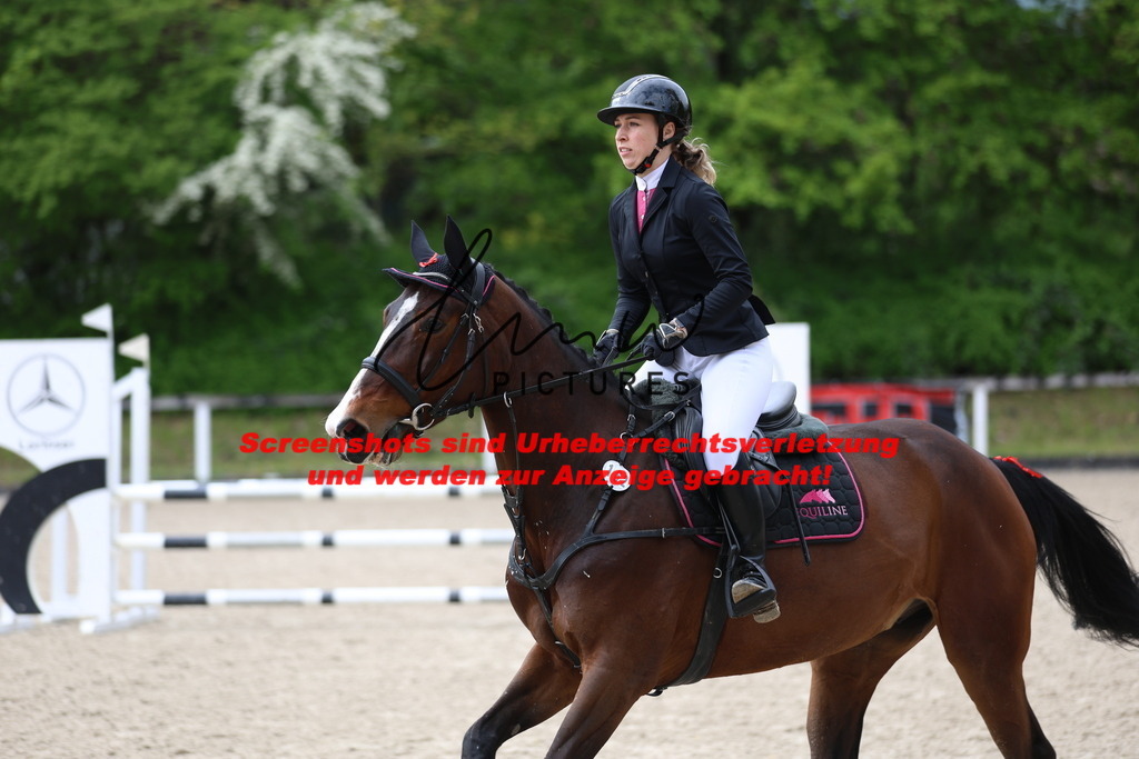 A40A2419 | lmwpictures - Realisiert mit Pictrs.com