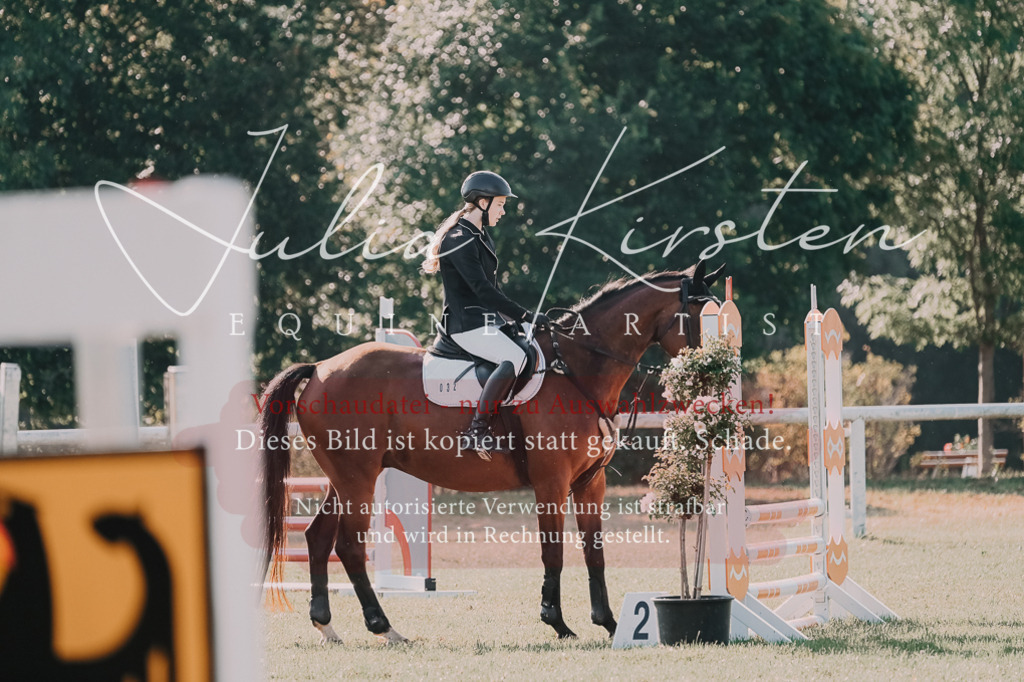 DSC_4533 | Pferde- und Turnierfotografie in Westsachsen. Pferdeportraits, Auftragszeichnungen und intuitive Kunst.