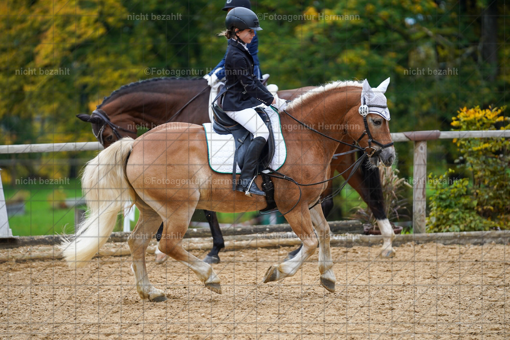 20221008-FAH01452 | Diessen am Ammersee, 2022, Dressur- und Springturnier, Reitsportbilder, Turnierfotografen Bayern, Pferdefotografen, Fotoagentur Herrmann, Turnierbilder