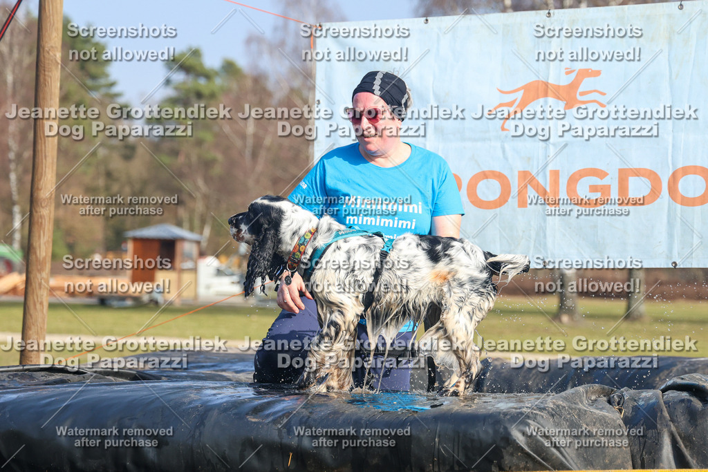 Dog Paparazzi - Strongdog North Mrz26-3132 | Dog Paparazzi Jeanette Grottendiek Fotografie & Videografie - Realisiert mit Pictrs.com