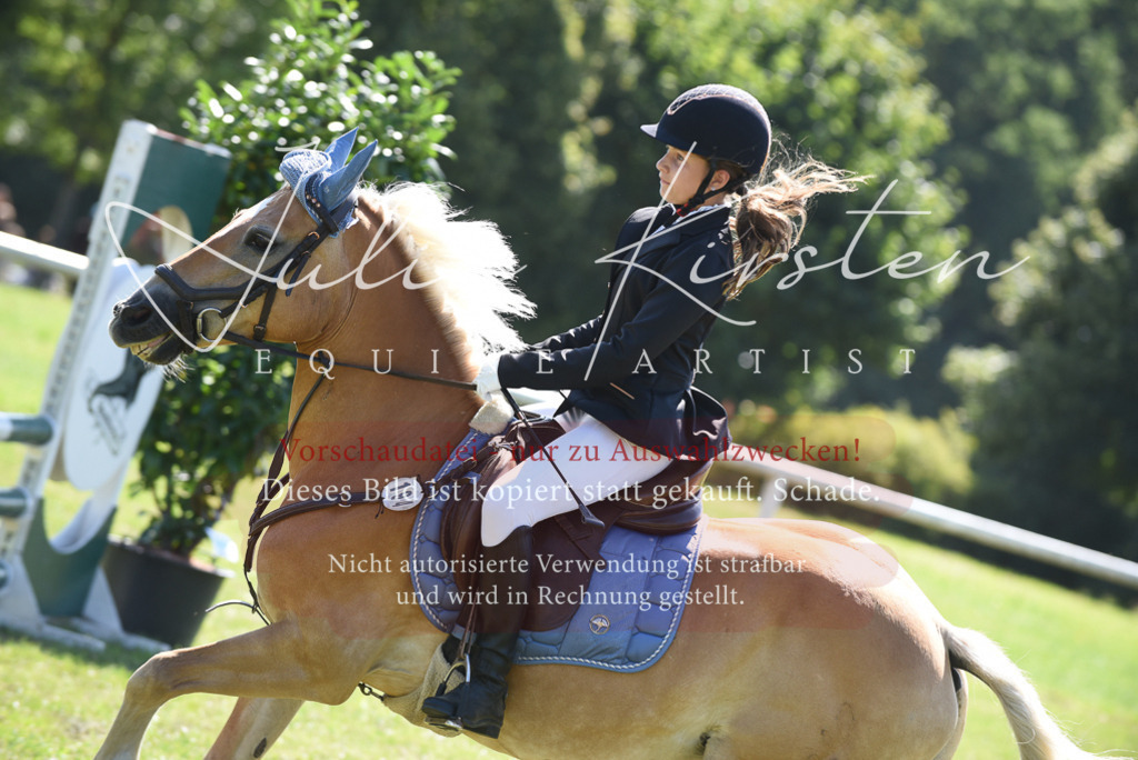 DSC_9327 | Pferde- und Turnierfotografie in Westsachsen. Pferdeportraits, Auftragszeichnungen und intuitive Kunst.
