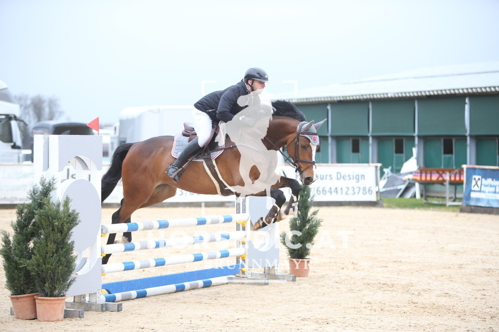 AS8V9752 | Willkommen bei Brunnmayr - Design & Fotografie – Ihrem Spezialisten für Reitturniere und Pferdeveranstaltungen in Oberösterreich, Salzburg und Bayern! Seit über 17 Jahren sind wir leidenschaftlich dabei.