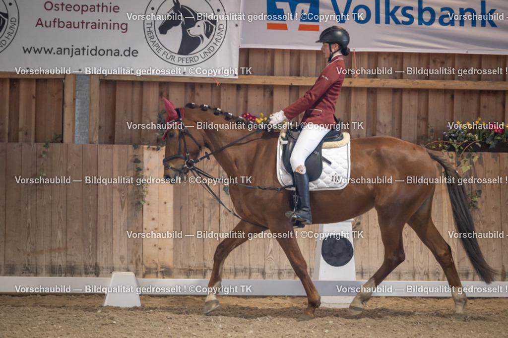 _D5A2108 | Emotionale Pferde- & People-Fotografie rund um Heidelberg, Leimen & Umgebung. Natürliche Fotos von Pferd, Mensch & Familie. Jetzt Termin sichern!