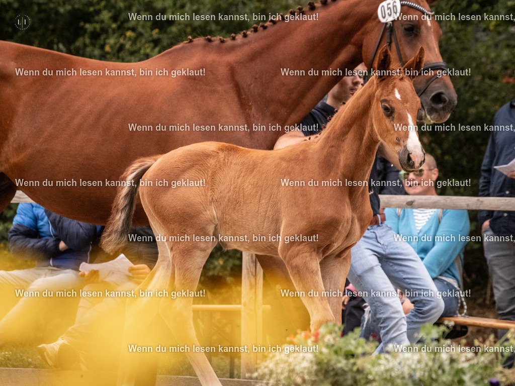 A10I5751 | photographylinaismer - Realisiert mit Pictrs.com