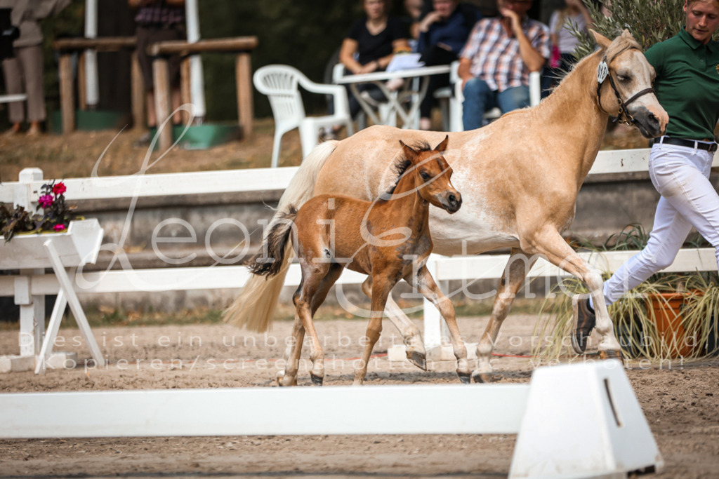 04.DoWP00059 | Leoni Ertmer Photography - Realisiert mit Pictrs.com