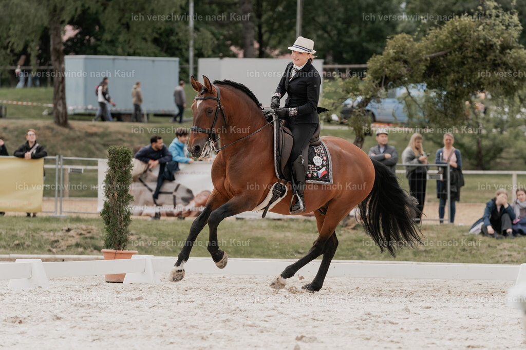 WE_DR_Stoib_322_PI2025_352 | Pferd International München 2025