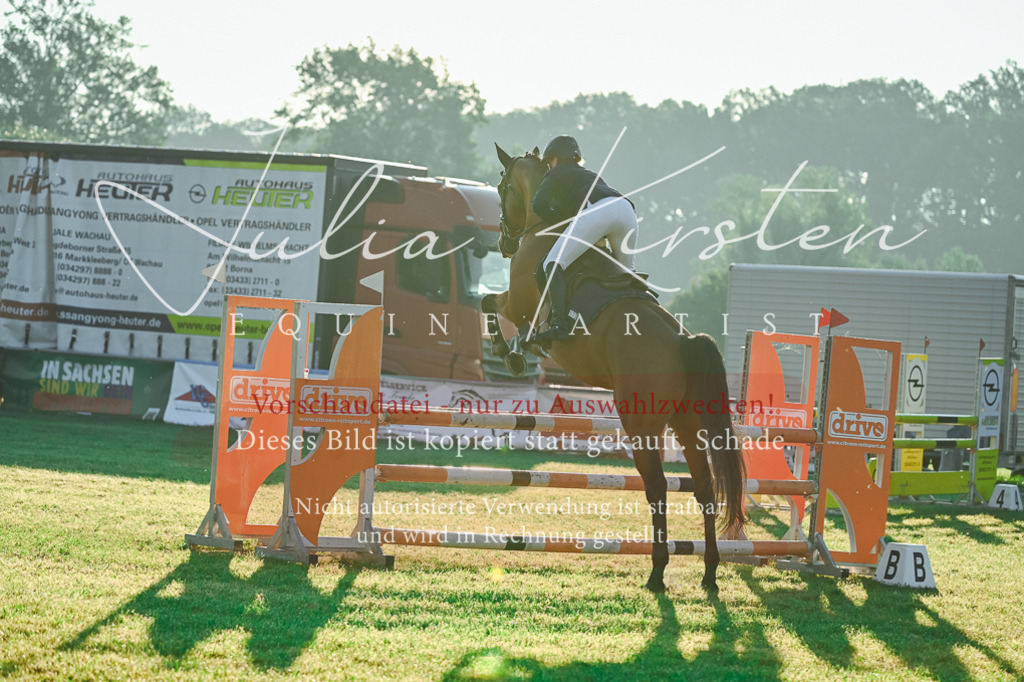 DSC_3843 | Pferde- und Turnierfotografie in Westsachsen. Pferdeportraits, Auftragszeichnungen und intuitive Kunst.