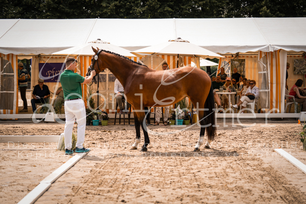 3.Fr00032 | Leoni Ertmer Photography - Realisiert mit Pictrs.com