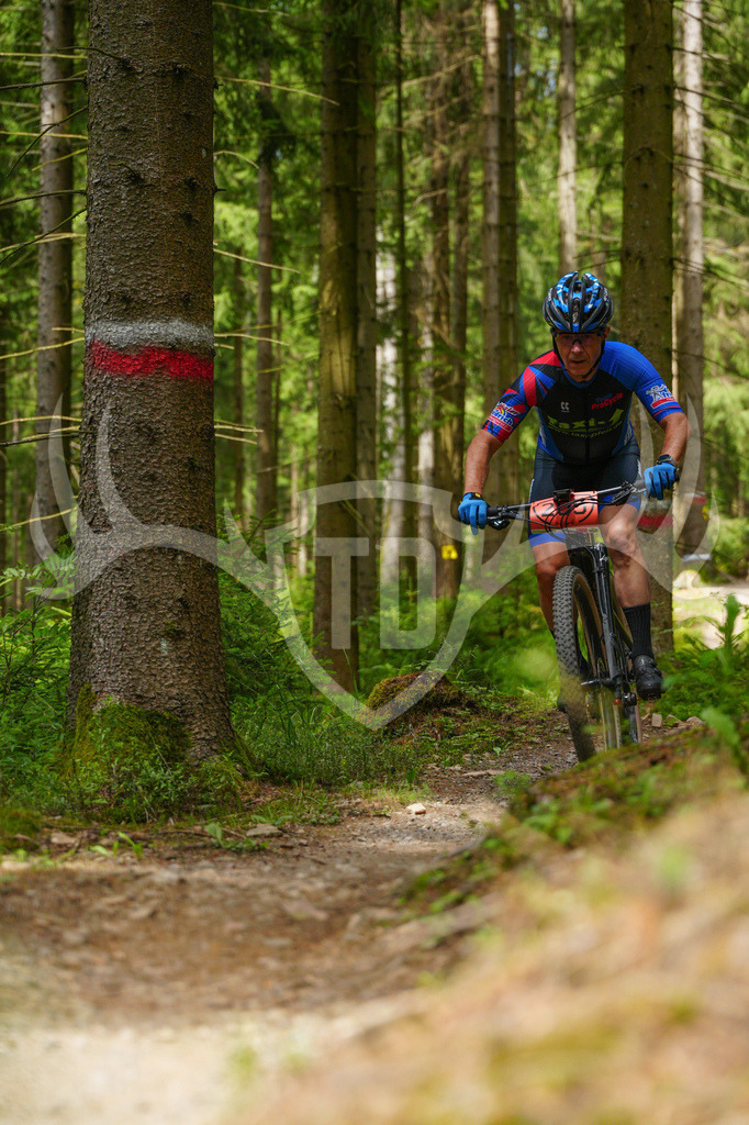 FC603802 | Fotogalerie der Treibjagd im Dunkelwald - Dein MTB Etappenrennen im Erzgebirge - Realisiert mit Pictrs.com
