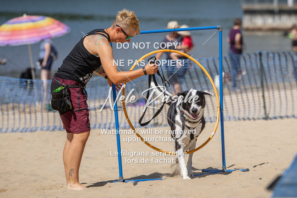 nelerasche_saBeachility_590 | nelerasche