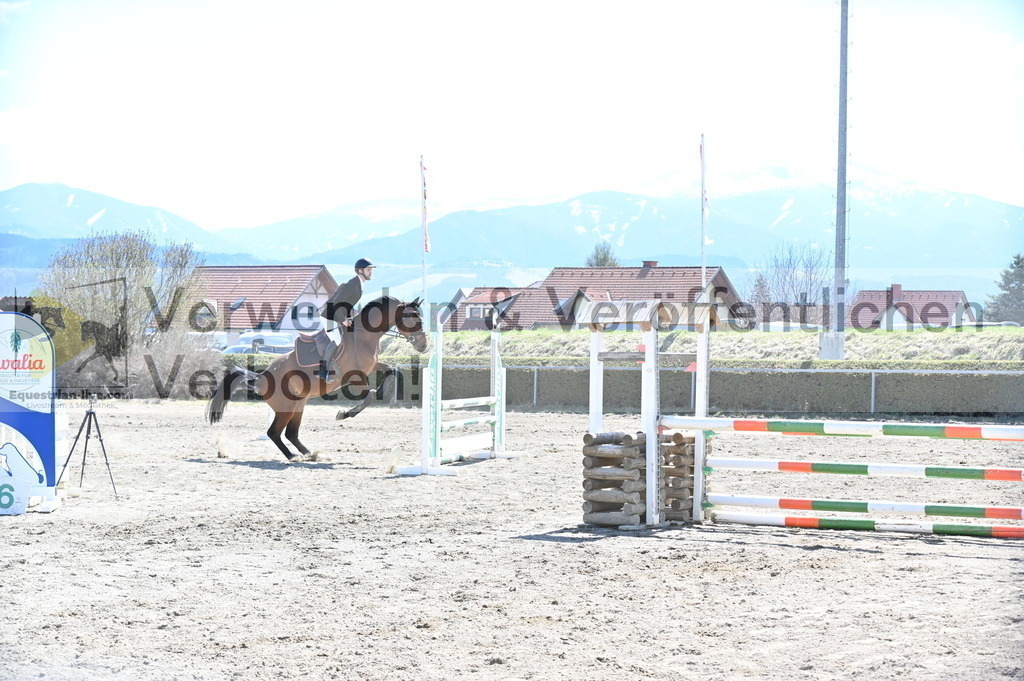 DSC_5384 | equestrian-live-com
