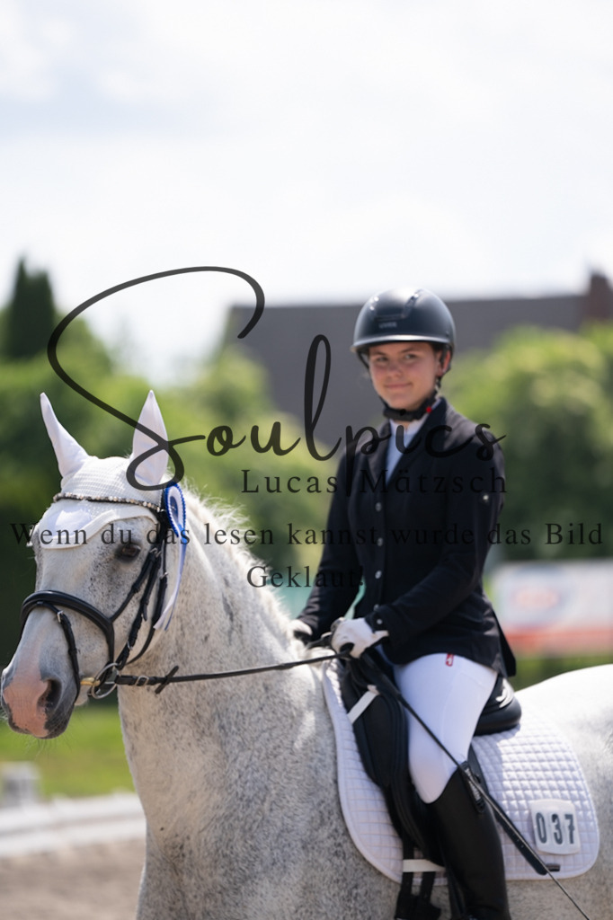 A7V02846 | Pferdefotograf