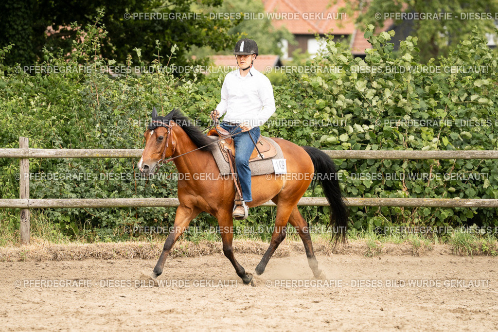 DSC00806 | Pferdegrafie