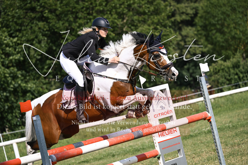 DSC_1111 | Pferde- und Turnierfotografie in Westsachsen. Pferdeportraits, Auftragszeichnungen und intuitive Kunst.