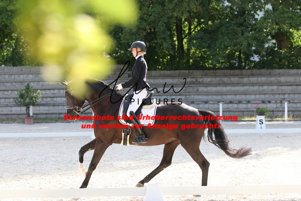 IMG_5787 | lmwpictures - Realisiert mit Pictrs.com