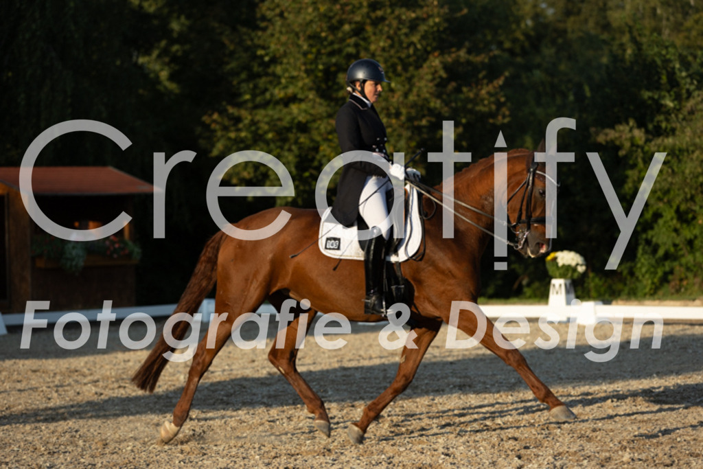 IMG_7211 | Creatify Fotografie