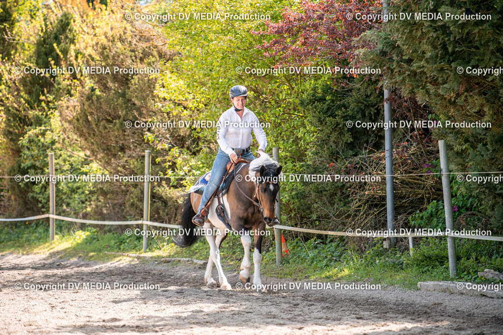 Balingen Tag 3-541 | dv-media-shop - Realisiert mit Pictrs.com