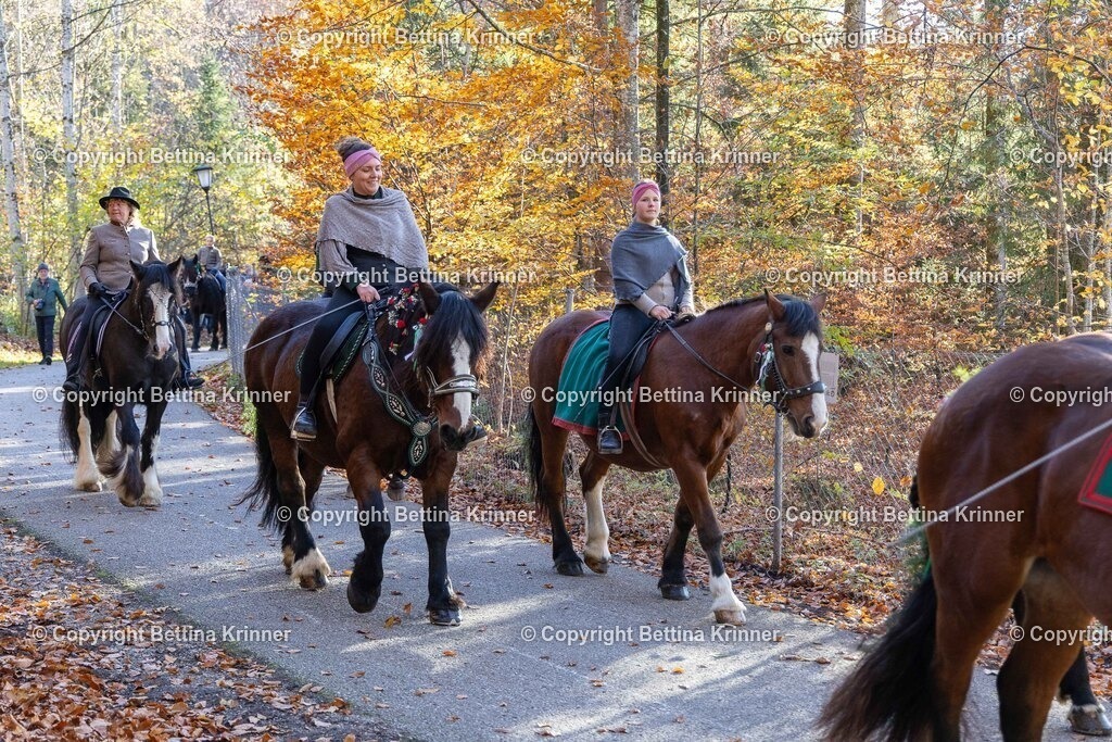 LL24-351 | foto-bettina-krinner - Realisiert mit Pictrs.com