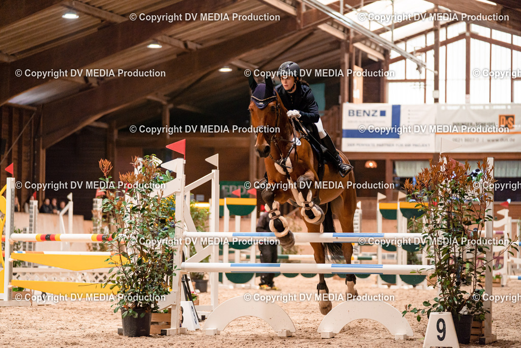 Springen Tag 3-035 | dv-media-shop - Realisiert mit Pictrs.com