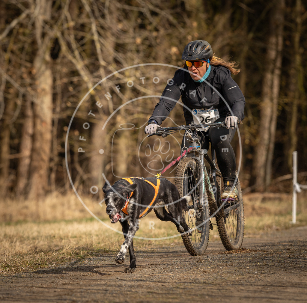 DV3A4306 | Hundefotografie, Tierfotograf, Pfotenfotografie, Fotoshooting Hund, Hunde Portrait, Hundesport, Hundeportraits, Heideshooting, Hunde, Sportfotograf, Hundefotograf, Turnierhundsport, THS,  - Realisiert mit Pictrs.com