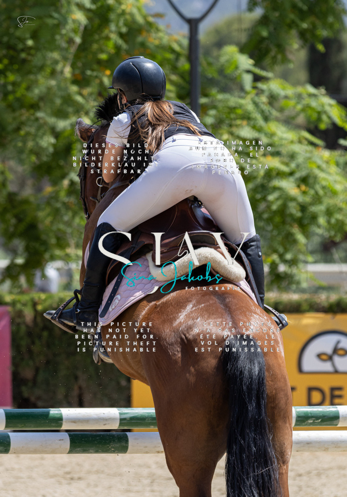 IMG_7847 | s-jay-photography - Realisiert mit Pictrs.com